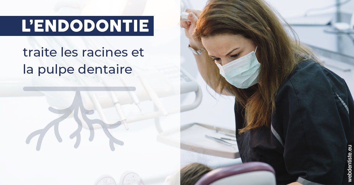 https://www.drfan.fr/L'endodontie 1