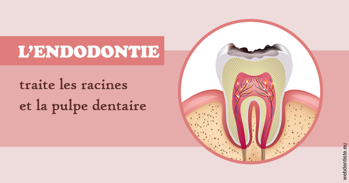 https://www.drfan.fr/L'endodontie 2