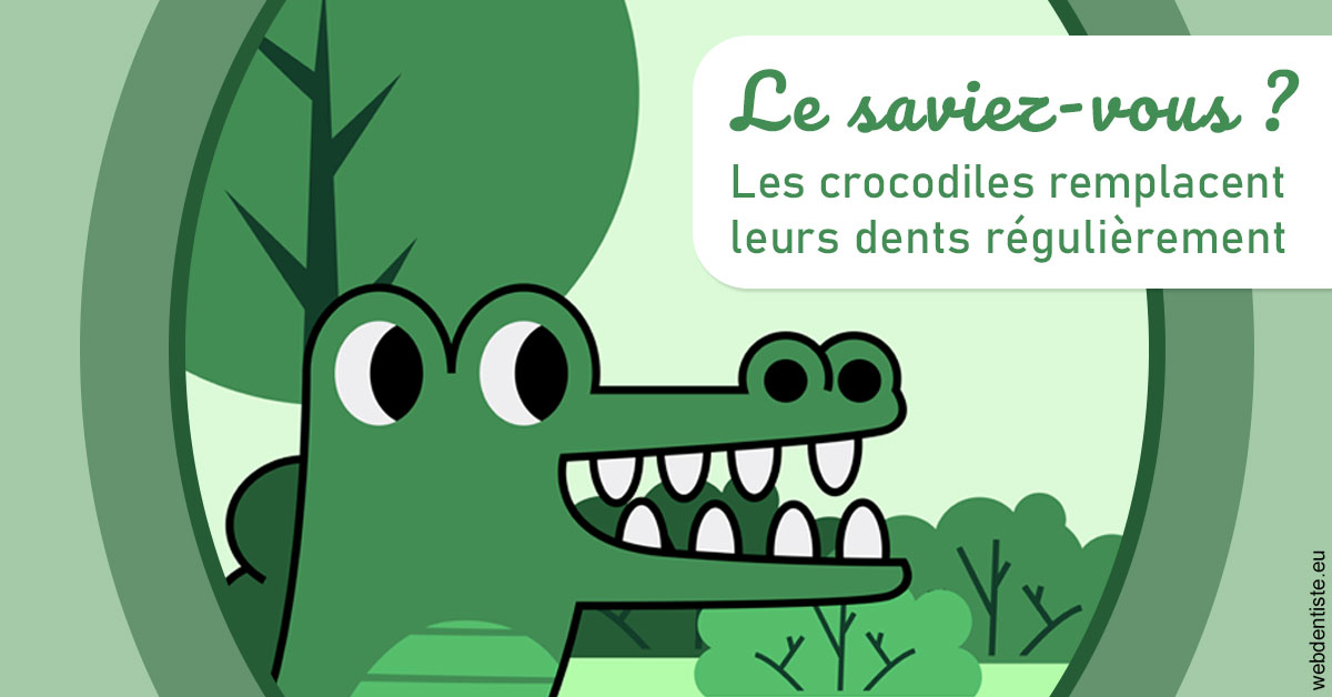https://www.drfan.fr/Crocodiles 2
