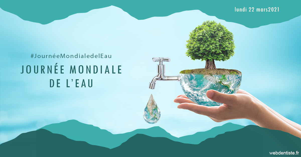 https://www.drfan.fr/Journée de l'eau 1