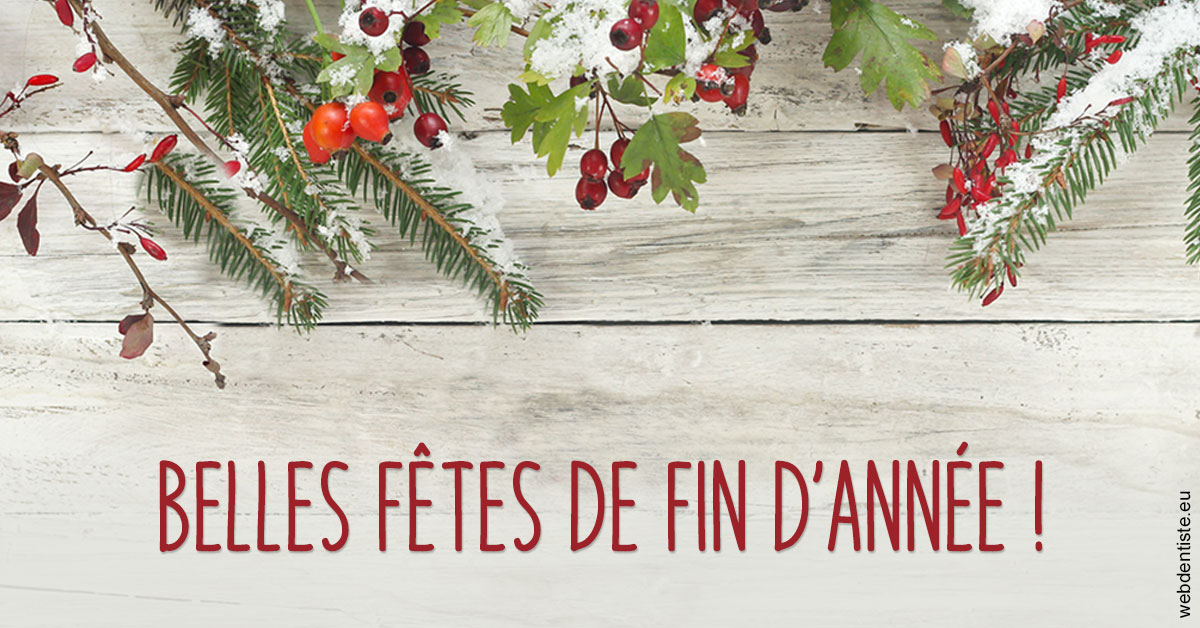https://www.drfan.fr/Joyeux Noël 2
