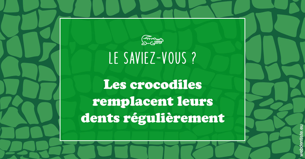 https://www.drfan.fr/Crocodiles 1